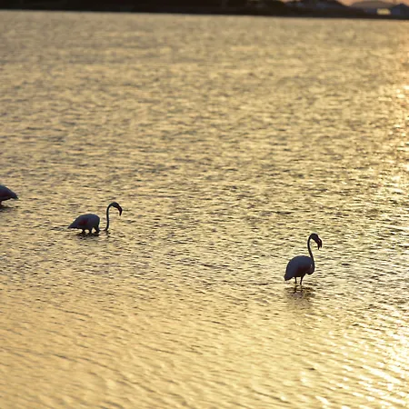 Cala Caterina Отель